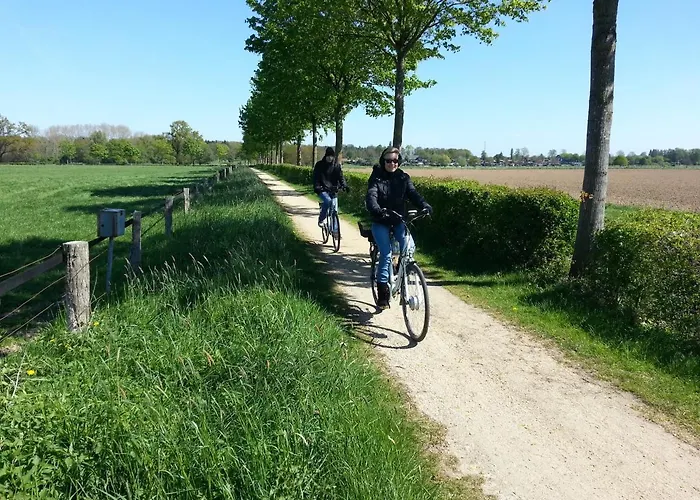 Stueer Отель 3*